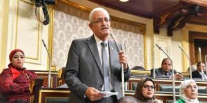 رئيس برلمانية "التجمع" عاطف مغاوري يقدم كشف حساب لدور الانعقاد الأول: "النواب" يعمل عند الحكومة.. أطالب بفتح تحقيق عاجل في أموال التأمينات والمعاشات.. ونحلم بـ"وزارة" تهتم بالصناعة - المدينة برس