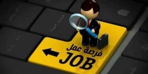 مصرف أبوظبي الإسلامي – مصر يعلن عن فرصة عمل لخريجي الجامعات الجدد.. والتقديم عبر LinkedIn - بوابة المدينة برس
