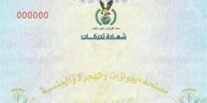 من السفارة إلى المحكمة، كل ما تريد معرفته عن شهادة التحركات وخطوات استخراجها - المدينة برس