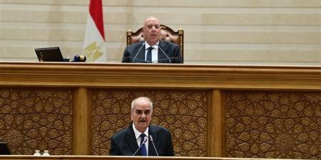 بدرجة وزير، النواب يوافق على ضوابط تعيين رئيس جهاز مستقبل مصر - المدينة برس