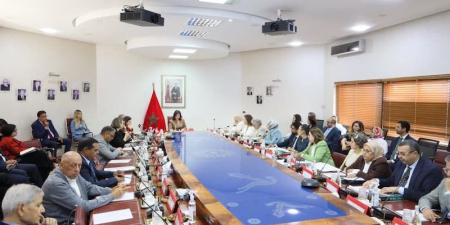 الدريوش: الاقتصاد الأزرق خيار استراتيجي - بوابة المدينة برس