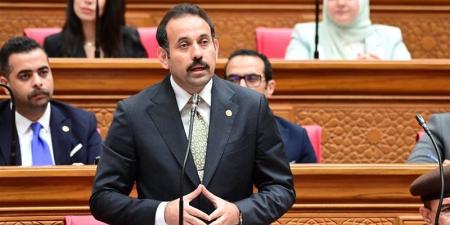 رئيس مستقبل مصر: القانون لا يمنح الجهاز صلاحيات على أراضي خاضعة لجهات أخرى - المدينة برس