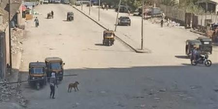 في استجابة سريعة لـ "فيتو"، محافظ الجيزة يوجه بإزالة المخلفات والقمامة وفتح طريق كعبيش بالهرم - المدينة برس