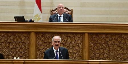بعد موافقة النواب، تفاصيل وأهداف مشروع قانون جهاز مستقبل مصر - المدينة برس