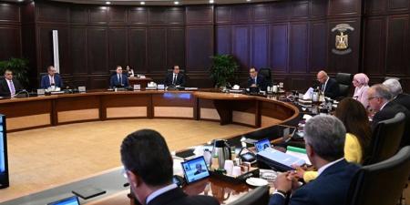مدبولي: بدء تنفيذ تكليفات الرئيس بشأن العمالة غير المنتظمة والمهن الحرة والعاملين بالخارج - المدينة برس