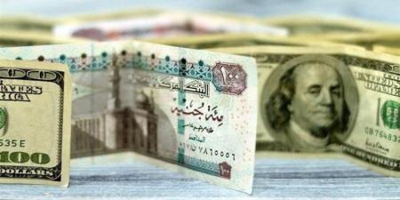 تراجع سعر صرف الدولار في البنك المركزي المصري والبنوك المصرية - المدينة برس