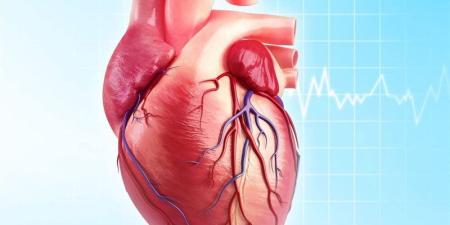10 أعراض تؤكد الإصابة بقصور في عضلة القلب - المدينة برس