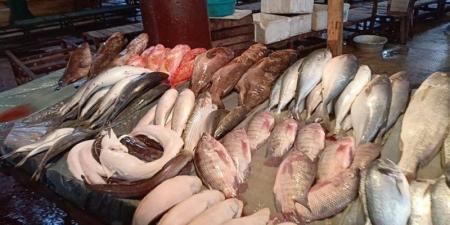 أسعار السمك اليوم، ارتفاع البلطي والجمبري يلامس الألف جنيه وانخفاض الكابوريا 10 جنيهات - المدينة برس
