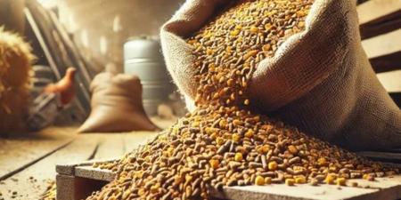 انخفاض الردة، أسعار الأعلاف والحبوب اليوم في الأسواق - المدينة برس