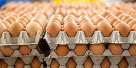 سعر كرتونة البيض اليوم الجمعة في بورصة الدواجن - المدينة برس