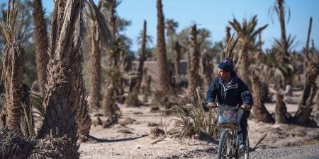 توقعات طقس اليوم الجمعة بالمغرب - بوابة المدينة برس