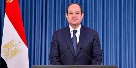 السيسي، بحثنا مقترح استحداث خط ملاحي للربط البحري بين ميناءي سفاجا ودار السلام - المدينة برس
