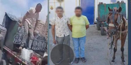 باستخدام عربة كارو، سقوط عاطلين سرقا صندوق قمامة بالإسكندرية - المدينة برس