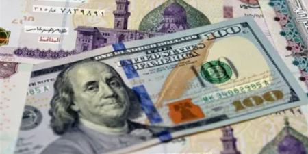 سعر صرف الدولار أمام الجنيه اليوم السبت 18 يوليو 2026 - المدينة برس