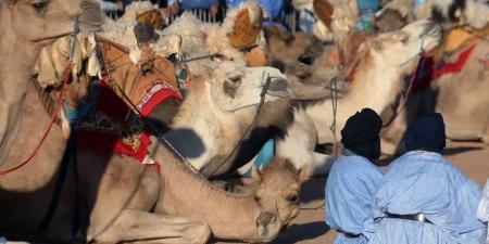 إسبانيا تواصل مناقشة تجنيس مواليد فترة الاستعمار بالصحراء المغربية - بوابة المدينة برس
