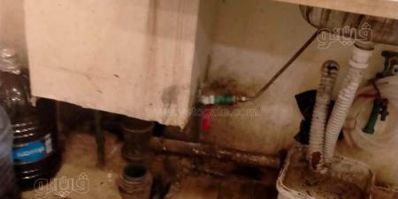 إعدام أطنان من الأغذية والزيوت الفاسدة وتحرير 391 محضر "جنح صحية" بمطروح - المدينة برس