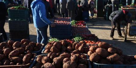أسواق الجملة تسجل انخفاضا في أسعار الخضر والفواكه مع وفرة الإنتاج - بوابة المدينة برس