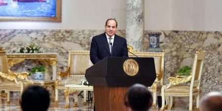 السيسي عن لقائه بـ سامية حسن: بحثنا آليات زيادة الاستثمارات المصرية في تنزانيا - المدينة برس