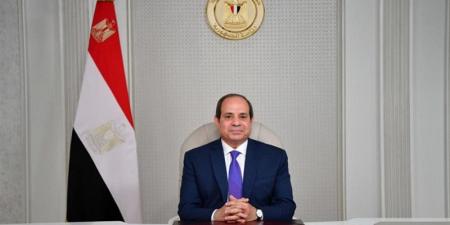 سد النهضة وتعزيز التعاون الاقتصادي الأبرز، 4 ملفات مهمة تتصدر المباحثات المصرية التنزانية - المدينة برس
