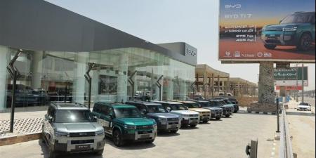 الصين تسيطر علي مبيعات السيارات الكهربائية في السوق المحلي - المدينة برس