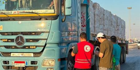 «زاد العزة 238» تنطلق إلى غزة، مصر تواصل إرسال المساعدات الإنسانية للأشقاء الفلسطينيين - المدينة برس