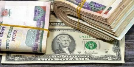 انخفاض بـ4 قروش، تراجع سعر الدولار أمام الجنيه بالبنوك خلال تعاملات اليوم الثلاثاء - المدينة برس