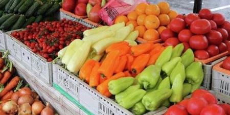 سعر الخضار اليوم، انخفاض جديد في الطماطم والليمون ينزل "النص" وارتفاع 6 أصناف - المدينة برس