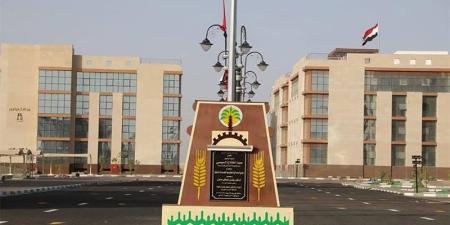 أنشطة متنوعة لمديرية العمل بالوادي الجديد لدعم التشغيل والتدريب - المدينة برس