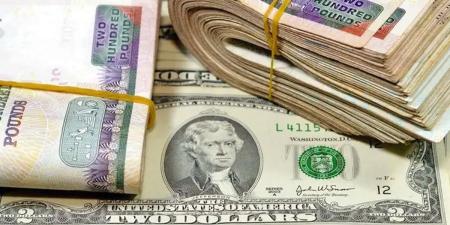 سعر الدولار يتراجع مجدداً في مصر - بوابة المدينة برس