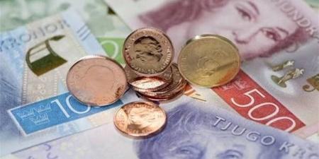 سعر الكرون السويدى أمام الجنيه فى البنوك المصرية - المدينة برس
