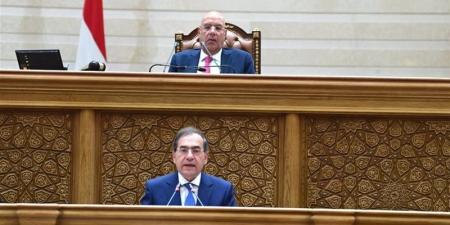 النواب يوافق على 4 مشروعات قوانين للبحث والتنقيب عن البترول والغاز - المدينة برس