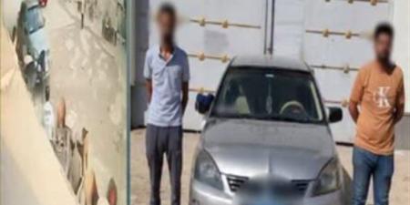 تأخر المشروبات أشعل غضبه، سائق يحطم مقهى بسيارته في البحيرة (فيديو) - المدينة برس