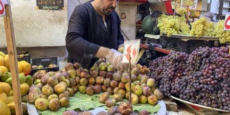 التين.. الثمرة التي سبقت القمح والذرة وأقسم بها القرآن وقدّسها الفراعنة (صور) - المدينة برس