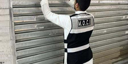 «التجارة» تحرر 227 محضر ضبط وتغلق 8 منشآت مخالفة في جليب الشيوخ - بوابة المدينة برس