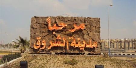تقنين دفعة جديدة من أراضي المواطنين بتوسعات الشروق، 23 نوفمبر (صور) - المدينة برس