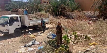 توجيه عاجل من محافظ الوادي الجديد بشأن مواعيد عمل منظومة النظافة خلال الموجة الحارة - المدينة برس