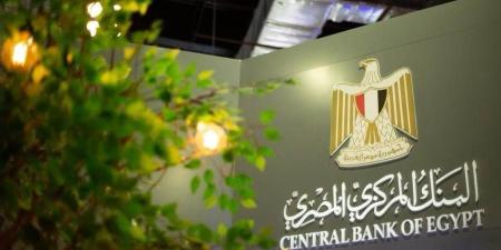 البنك المركزي : جاري العمل على إطلاق عدد من الخدمات الجديدة بمنظومة المدفوعات اللحظية IPN - بوابة المدينة برس