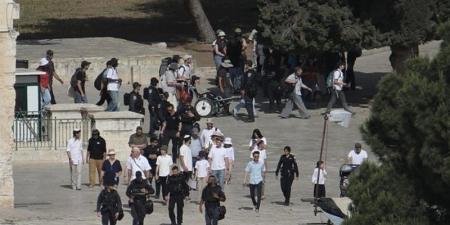 استشهاد فلسطينيين عقب حادث طعن إسرائيلي في قضاء بيت فوريك - المدينة برس