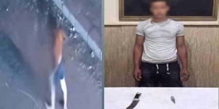 فيديو الرعب في شوارع الإسكندرية، الداخلية تضبط عاري الصدر الملوح بسلاحين أبيضين (فيديو) - المدينة برس