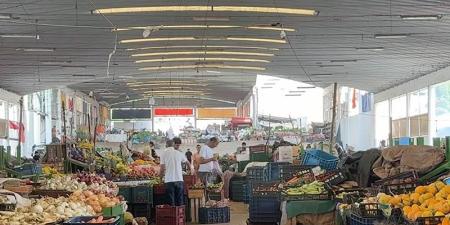 يعقوب المنصور بلا فوضى - بوابة المدينة برس