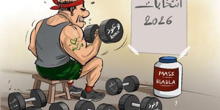 التسخينات الانتخابية - بوابة المدينة برس