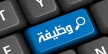 بنك القاهرة يعلن عن فرصة عمل لوظيفة محلل أعمال Business Analyst .. التفاصيل وكيفية التقديم - بوابة المدينة برس
