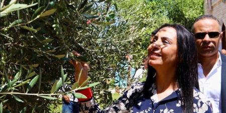 وزيرة التضامن ومحافظ مطروح يتفقدان مزرعة الزيتون بمركز العزيمة - المدينة برس