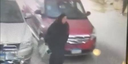 جنوا عليها مرتين، تطورات مأساوية في واقعة دهس نجل طبيب شهير بالغربية لسيدة - المدينة برس