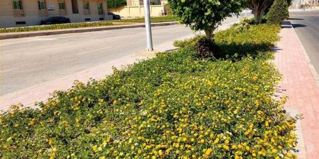 وزيرة الإسكان تتابع موقف المشروعات وأعمال التطوير ورفع كفاءة الخدمات بمدن الصعيد الجديدة - المدينة برس