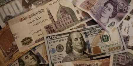 تراجع أسعار العملات الأجنبية والعربية أمام الجنيه في البنك التجاري الدولي - المدينة برس