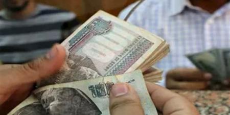 لوصول خدمة القروض لـ 113% من دخل الدولة، خبير اقتصادي: أخبار مفزعة وهذا هو الحل - المدينة برس