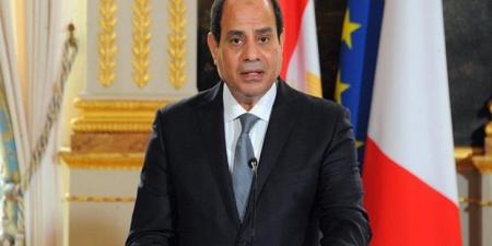 السيسي: نعتز بدور القطاع الخاص في مدغشقر ومستعدون لنقل التجربة التنموية الشاملة - المدينة برس