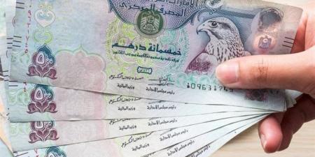 الدرهم الإماراتي يسجل 13.89 جنيها للشراء في البنك الاهلي مساء اليوم الخميس - المدينة برس