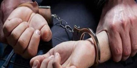 تأجيل محاكمة عاطل بتهمة هتك عرض طفلة في مدينة نصر لجلسة 13 أغسطس - المدينة برس